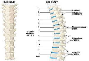 cervical osteochondrosis